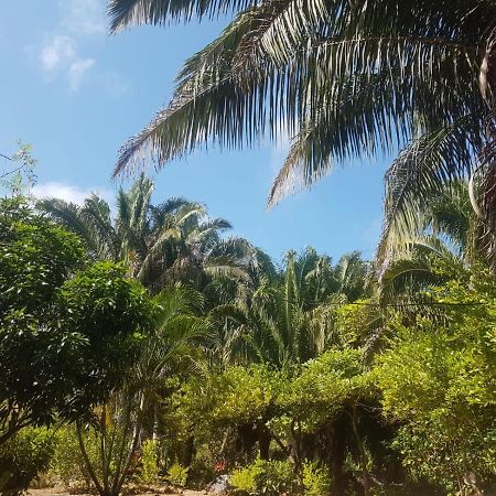 Eco Hostal Monolandia エル・ザイノ エクステリア 写真
