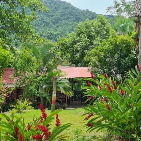 Eco Hostal Monolandia エル・ザイノ エクステリア 写真