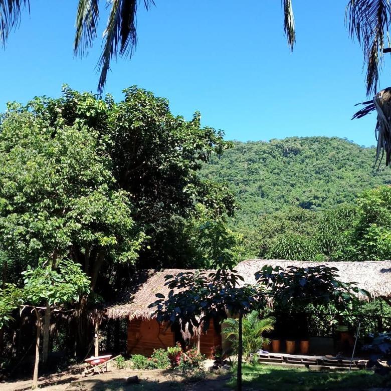 Eco Hostal Monolandia エル・ザイノ エクステリア 写真