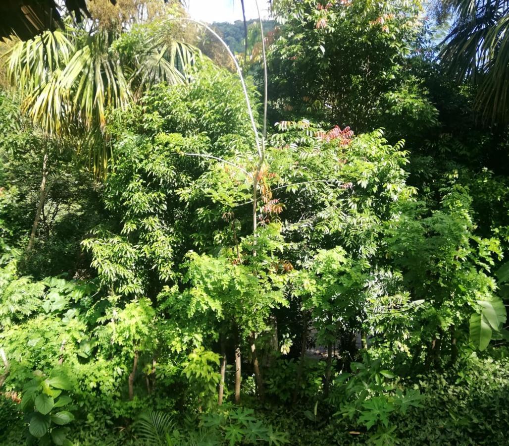 Eco Hostal Monolandia エル・ザイノ エクステリア 写真