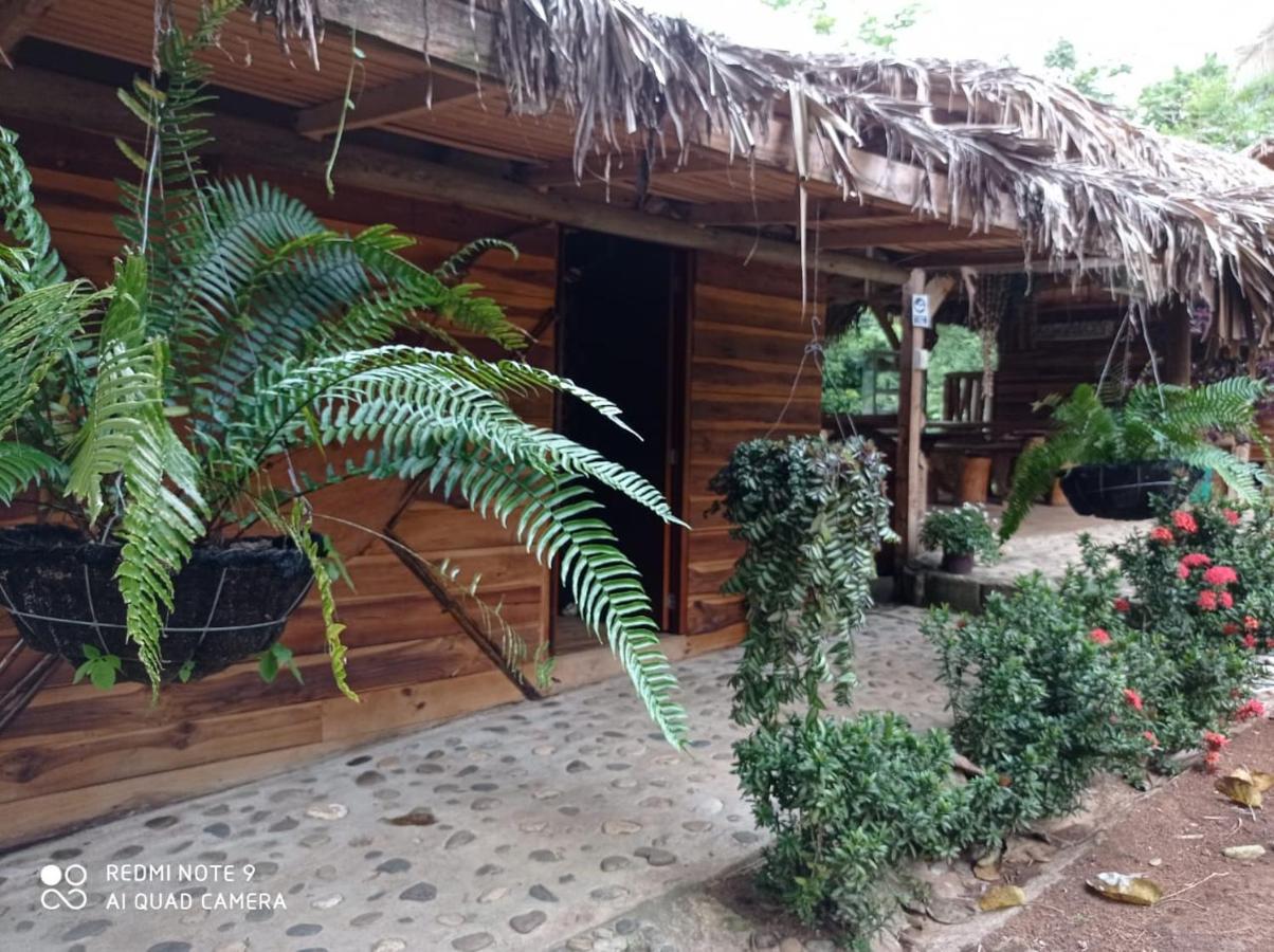Eco Hostal Monolandia エル・ザイノ エクステリア 写真