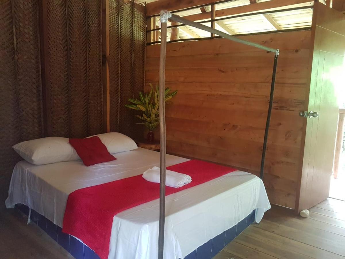 Eco Hostal Monolandia エル・ザイノ エクステリア 写真