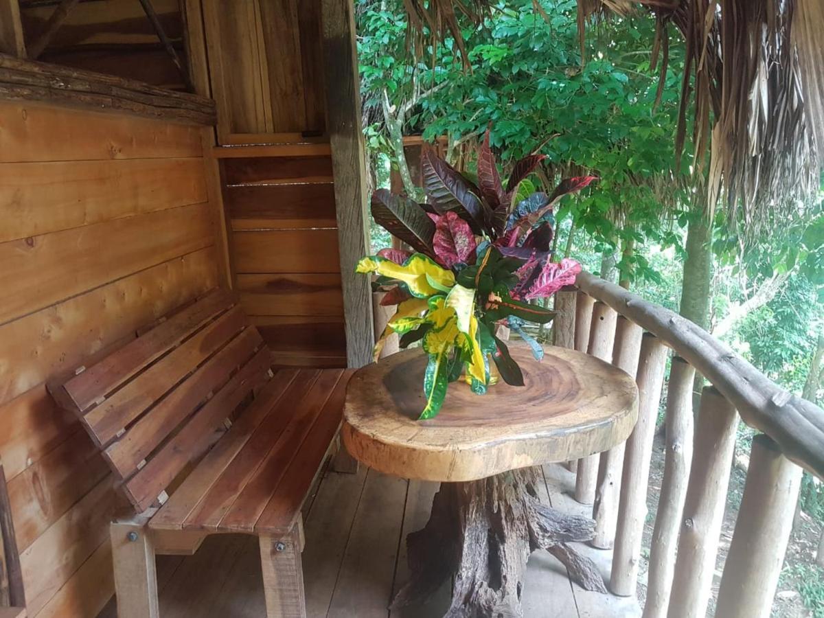 Eco Hostal Monolandia エル・ザイノ エクステリア 写真