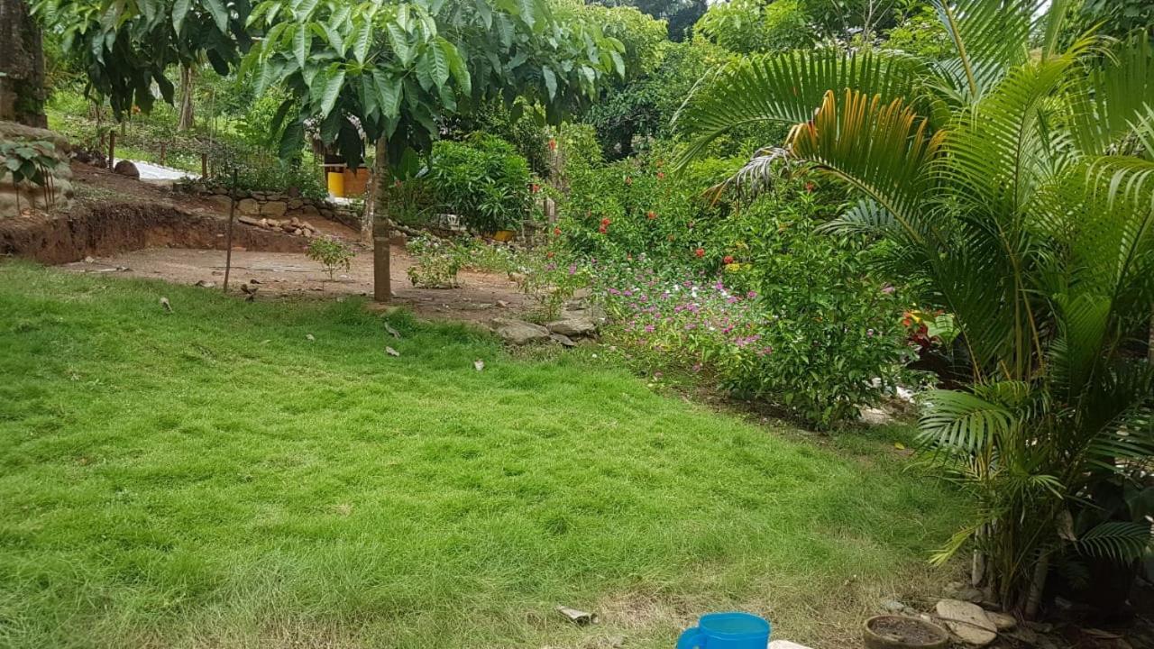 Eco Hostal Monolandia エル・ザイノ エクステリア 写真
