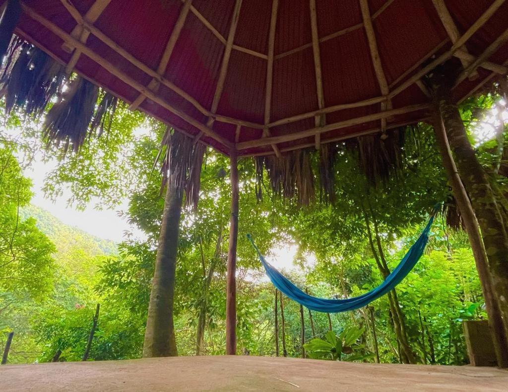 Eco Hostal Monolandia エル・ザイノ エクステリア 写真