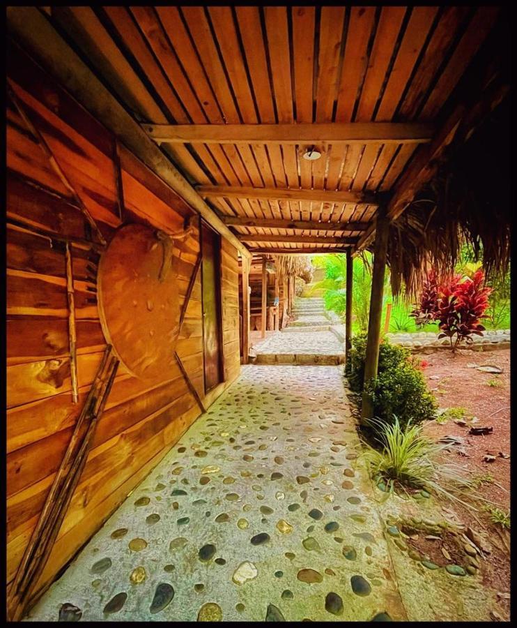Eco Hostal Monolandia エル・ザイノ エクステリア 写真