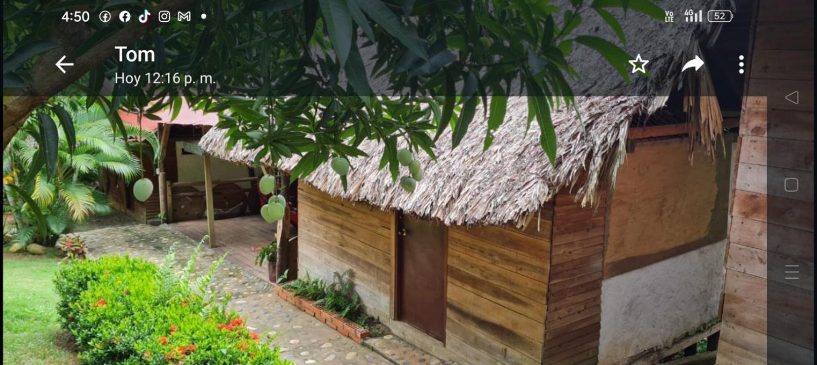 Eco Hostal Monolandia エル・ザイノ エクステリア 写真