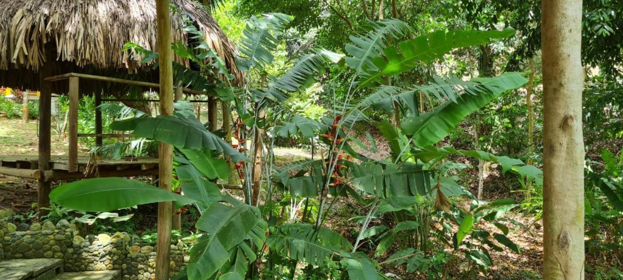 Eco Hostal Monolandia エル・ザイノ エクステリア 写真