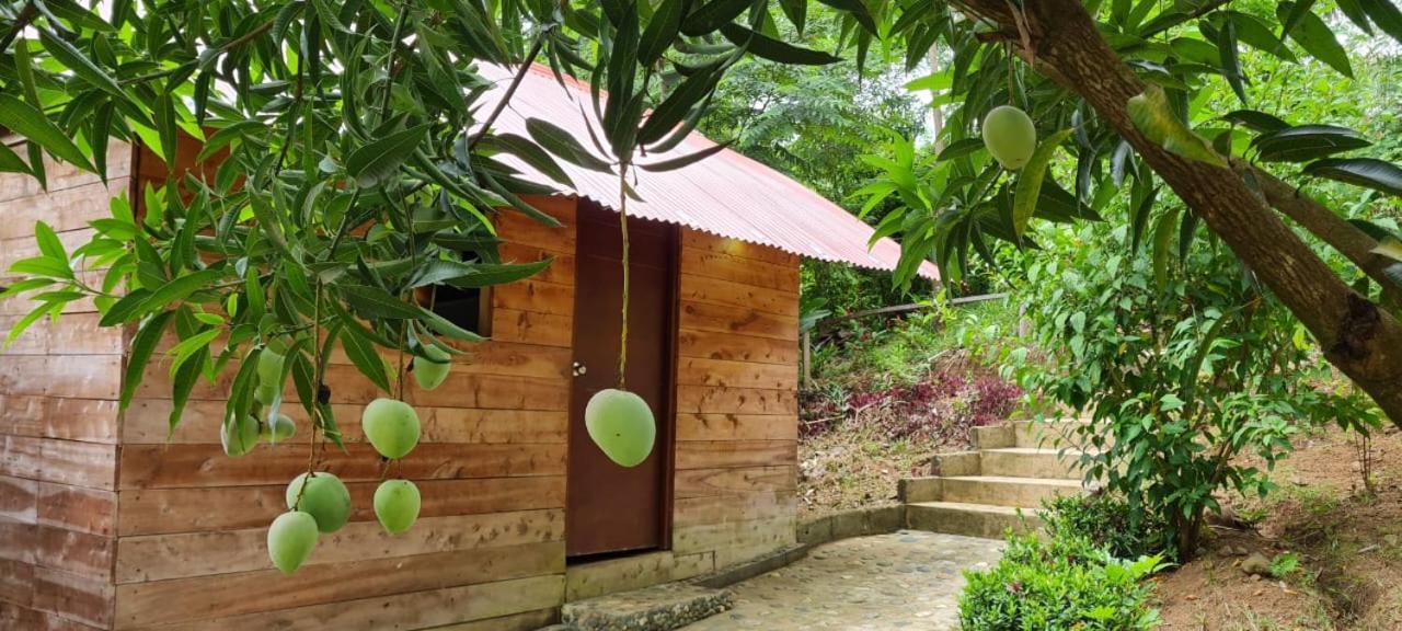Eco Hostal Monolandia エル・ザイノ エクステリア 写真