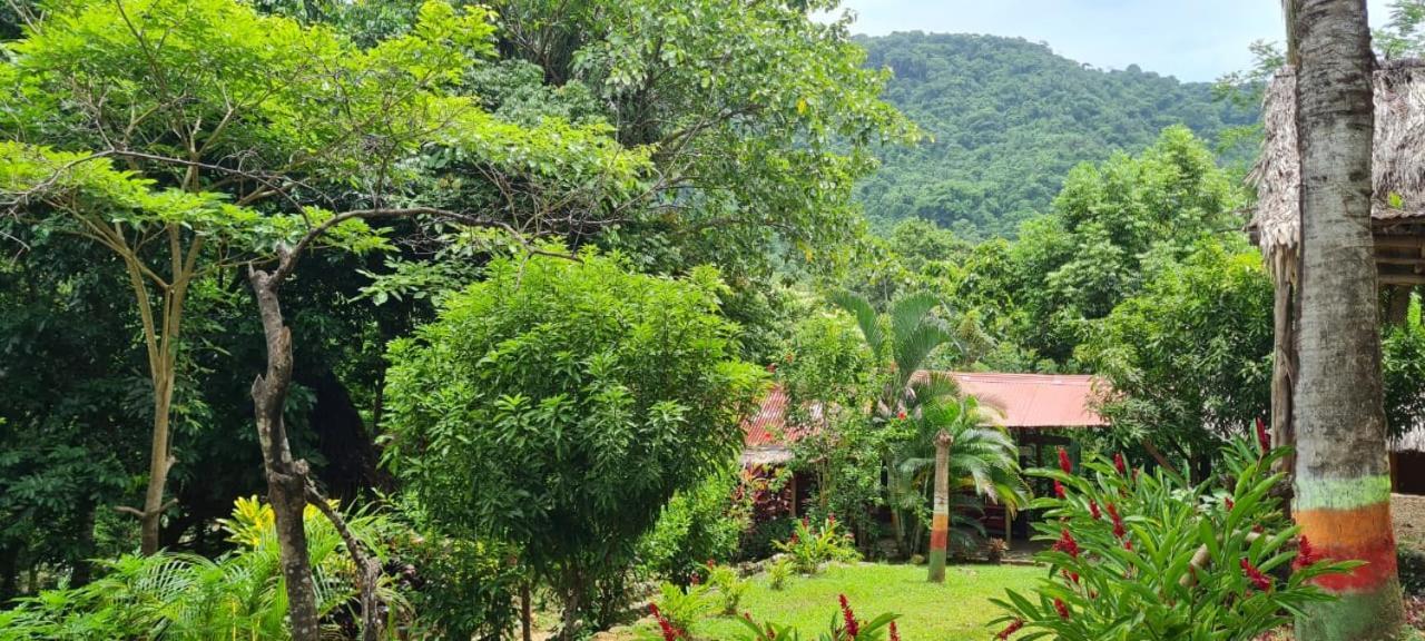 Eco Hostal Monolandia エル・ザイノ エクステリア 写真