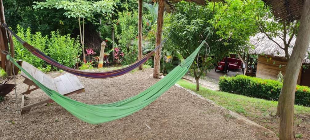 Eco Hostal Monolandia エル・ザイノ エクステリア 写真