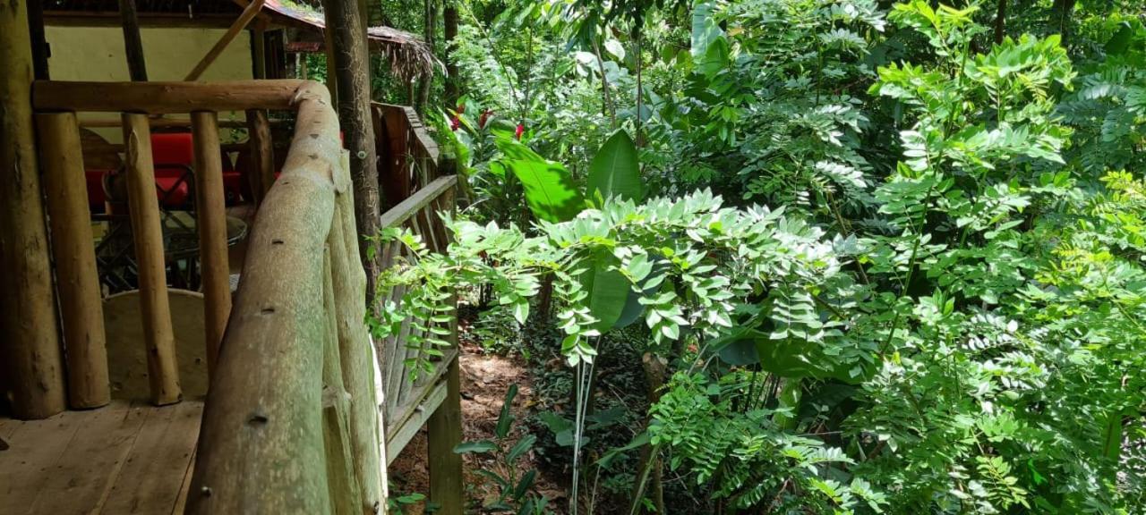 Eco Hostal Monolandia エル・ザイノ エクステリア 写真