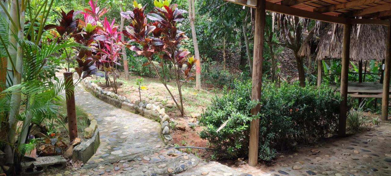 Eco Hostal Monolandia エル・ザイノ エクステリア 写真