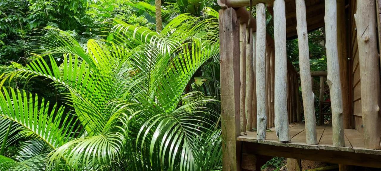 Eco Hostal Monolandia エル・ザイノ エクステリア 写真
