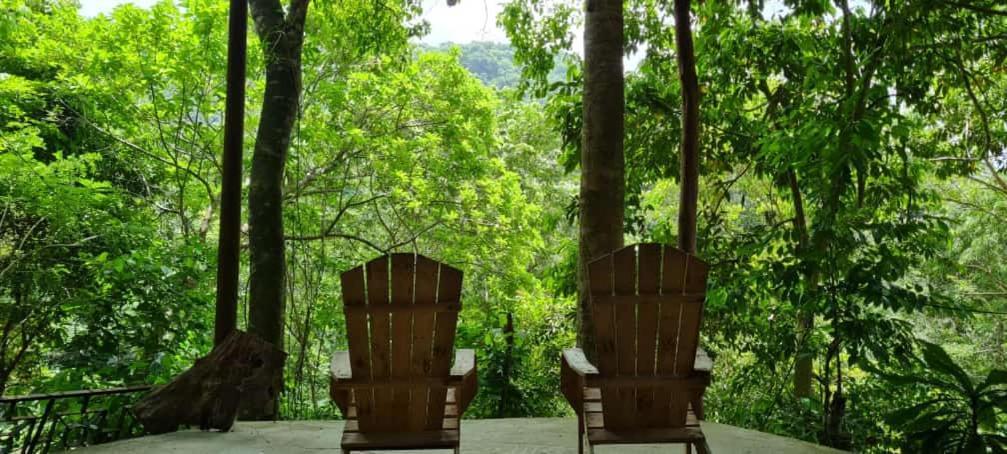 Eco Hostal Monolandia エル・ザイノ エクステリア 写真