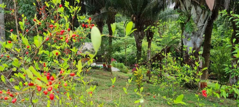 Eco Hostal Monolandia エル・ザイノ エクステリア 写真