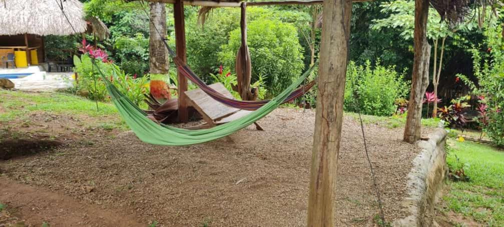 Eco Hostal Monolandia エル・ザイノ エクステリア 写真