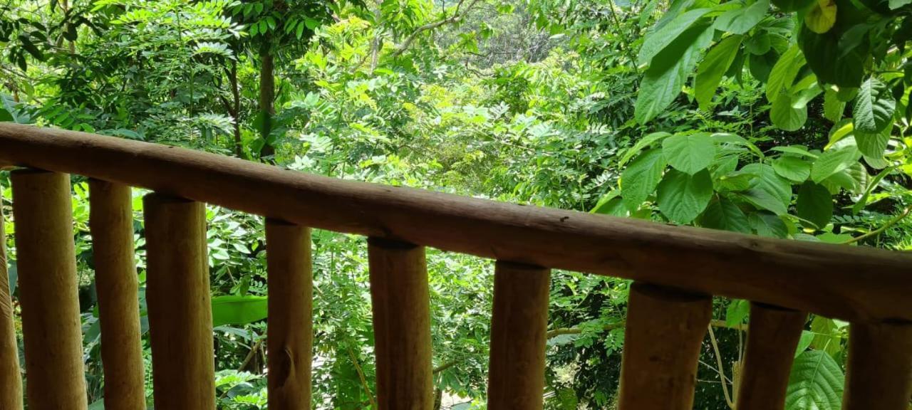 Eco Hostal Monolandia エル・ザイノ エクステリア 写真