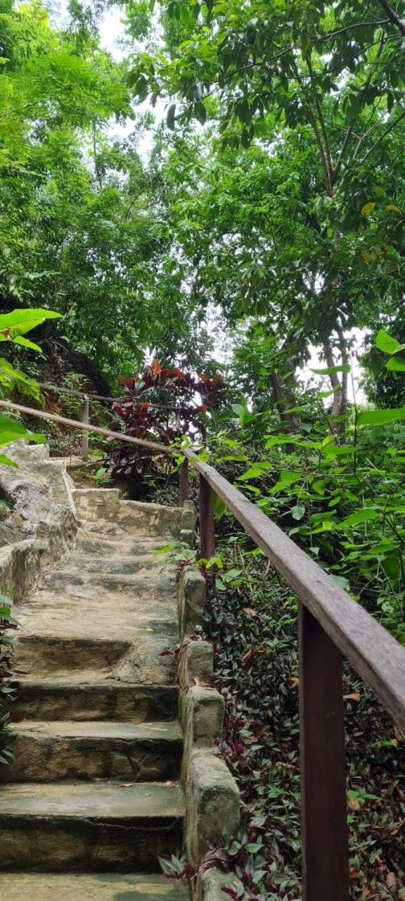 Eco Hostal Monolandia エル・ザイノ エクステリア 写真