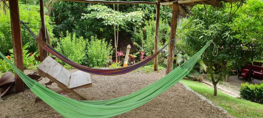 Eco Hostal Monolandia エル・ザイノ エクステリア 写真