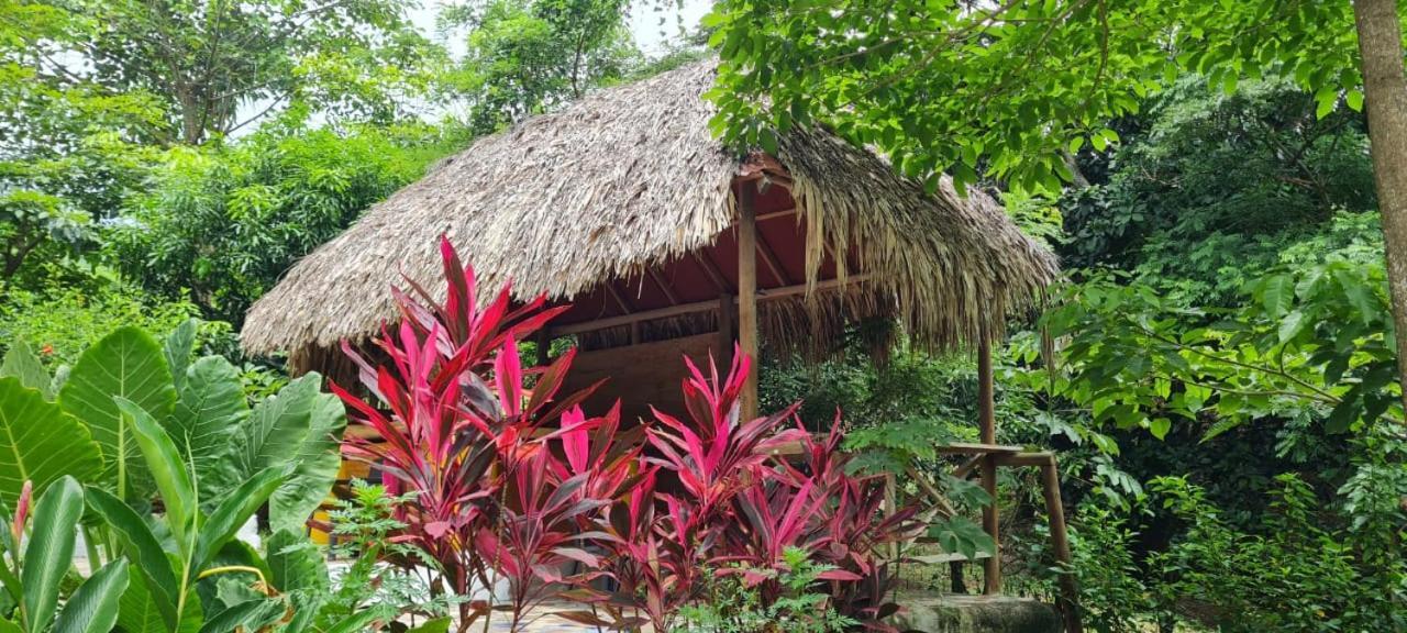 Eco Hostal Monolandia エル・ザイノ エクステリア 写真