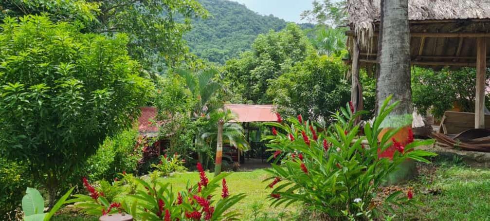 Eco Hostal Monolandia エル・ザイノ エクステリア 写真
