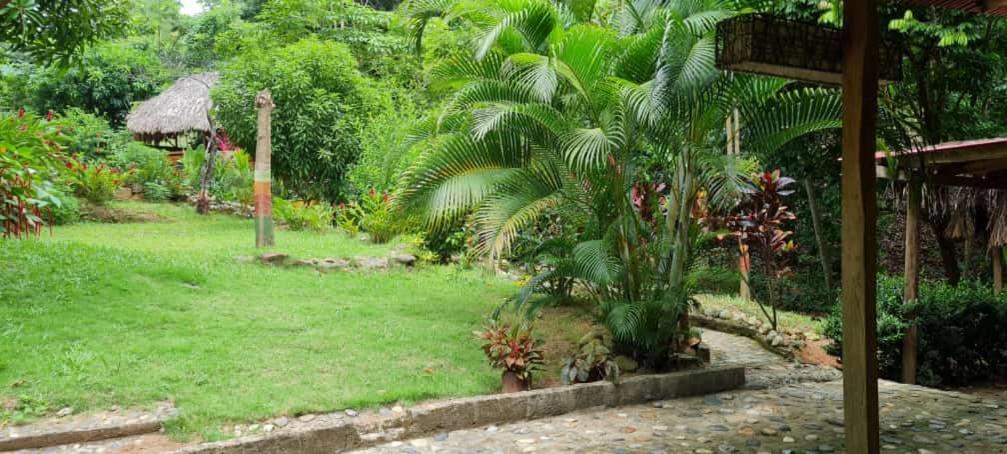 Eco Hostal Monolandia エル・ザイノ エクステリア 写真