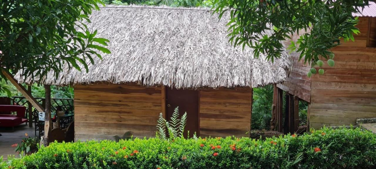 Eco Hostal Monolandia エル・ザイノ エクステリア 写真