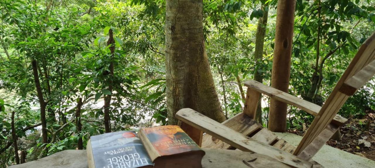 Eco Hostal Monolandia エル・ザイノ エクステリア 写真