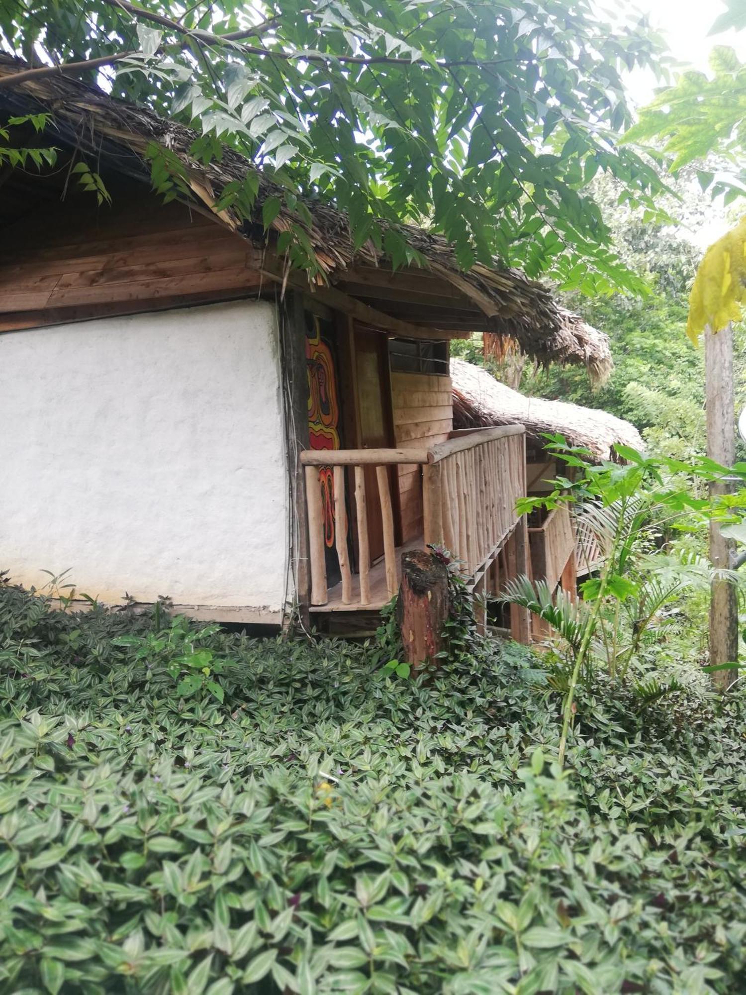 Eco Hostal Monolandia エル・ザイノ 部屋 写真